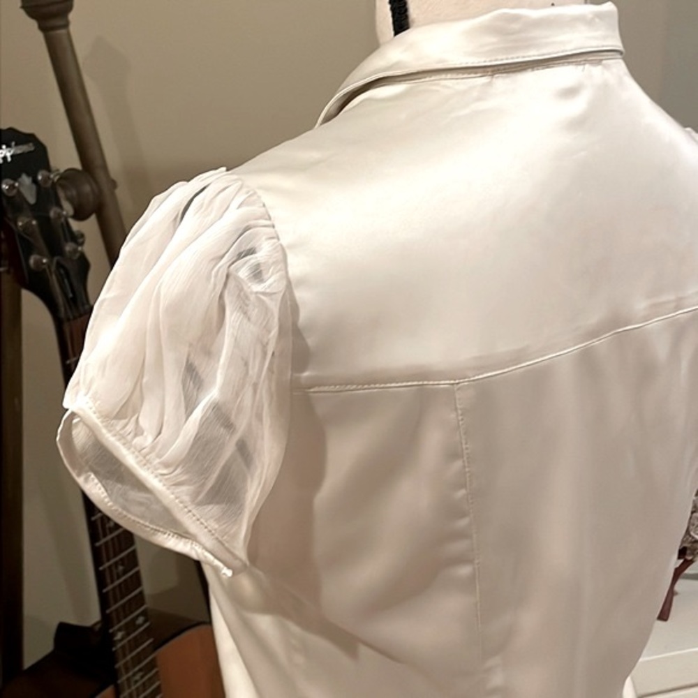 Surrealist Ruffle Front Blouse - Picture 6 of 11